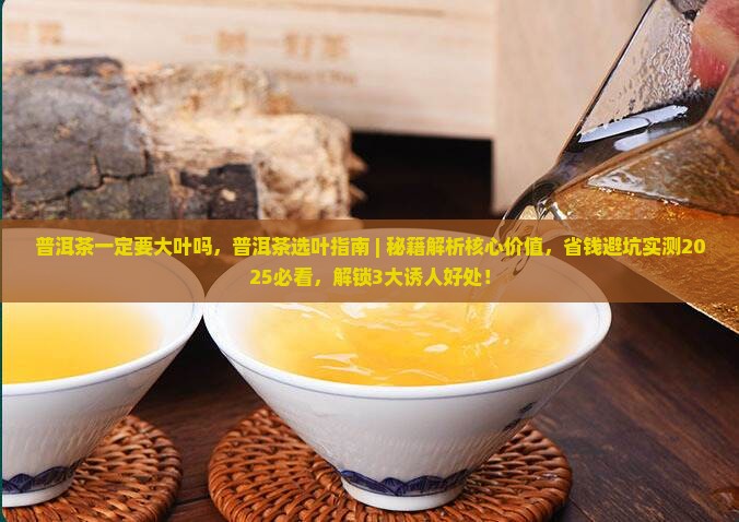 普洱茶一定要大叶吗