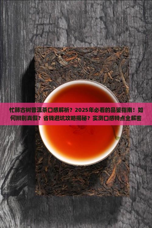 忙肺古树普洱茶口感特点