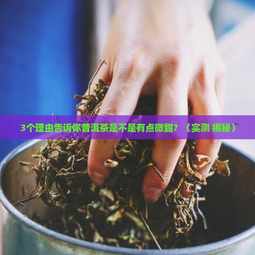 普洱茶是不是有点微甜