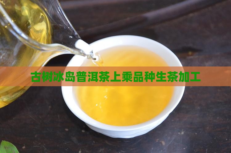 800年古树茶冰岛