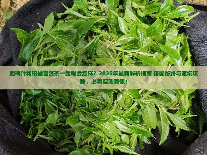 西梅汁和柑橘普洱茶一起喝