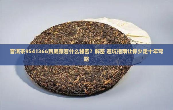 普洱茶9541366