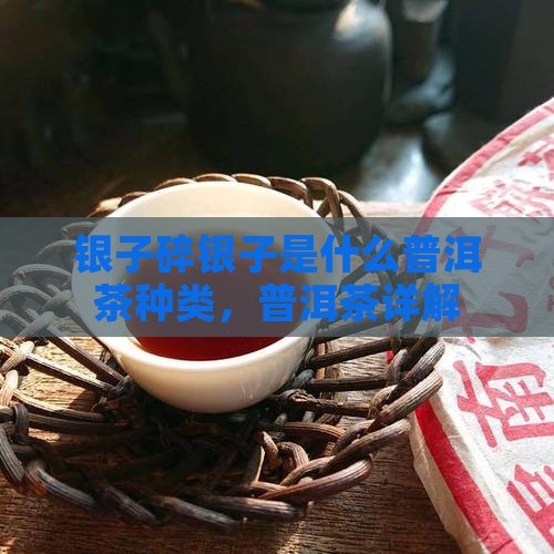 碎银子是什么茶叶种类