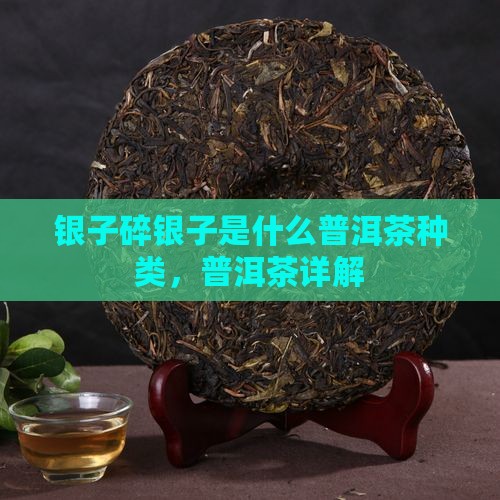 碎银子是什么茶叶种类