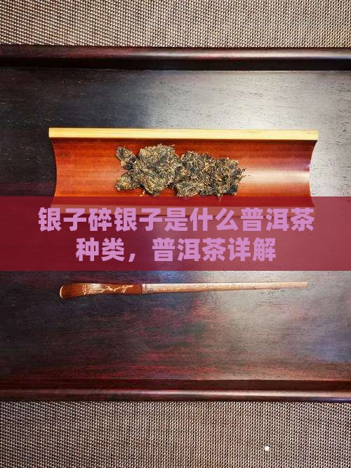 碎银子是什么茶叶种类