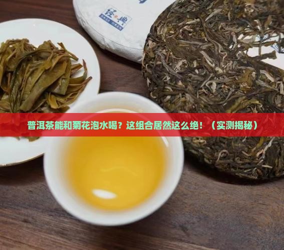 普洱茶能和菊花泡水喝