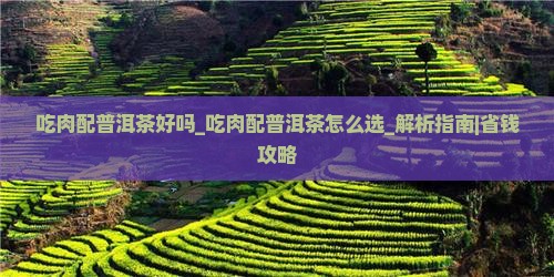 吃肉配普洱茶好吗