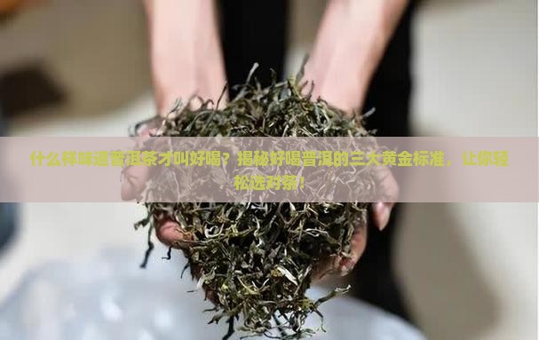 什么样味道普洱茶才叫好喝
