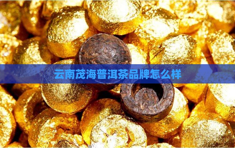 云南茂海普洱茶品牌