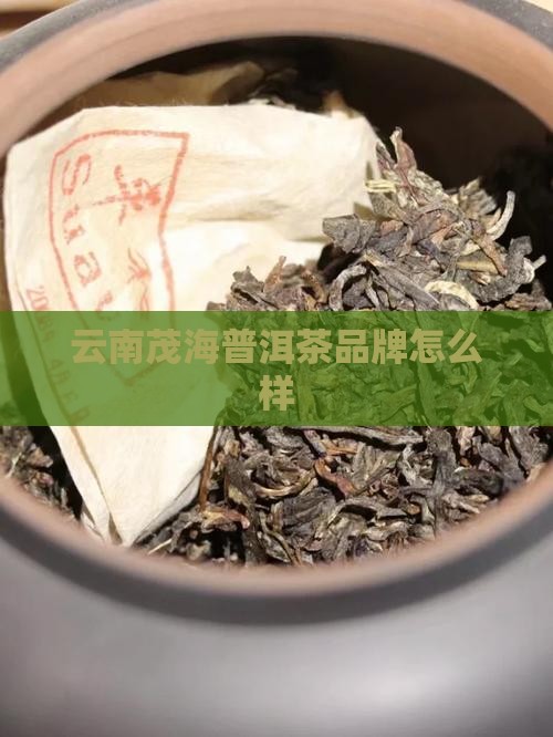 云南茂海普洱茶品牌