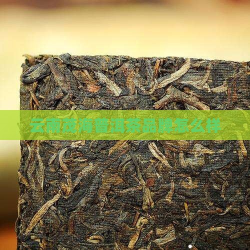 云南茂海普洱茶品牌