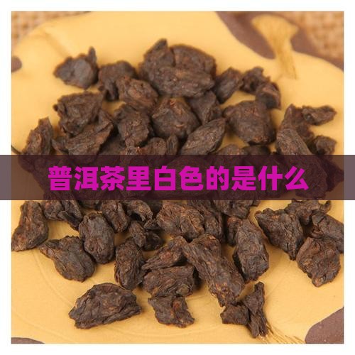 普洱茶里白色的是什么