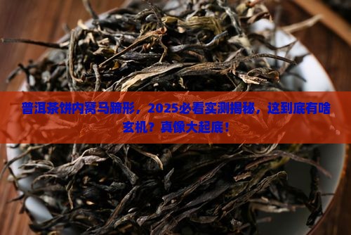 普洱茶饼内窝马蹄形
