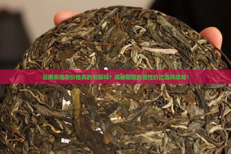 云南茶祖茶价格