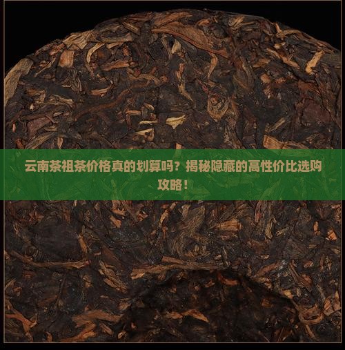 云南茶祖茶价格