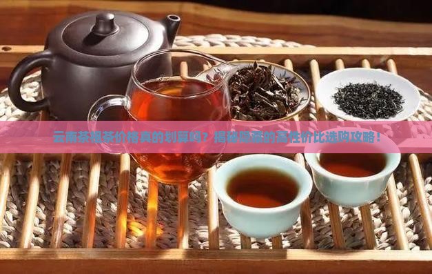 云南茶祖茶价格