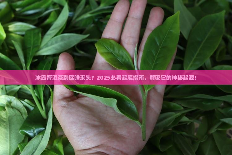 冰岛普洱茶的起源
