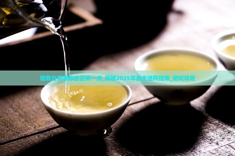 福鼎白茶哪家店正宗一点
