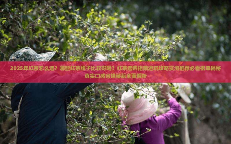 比较好喝的红茶牌子