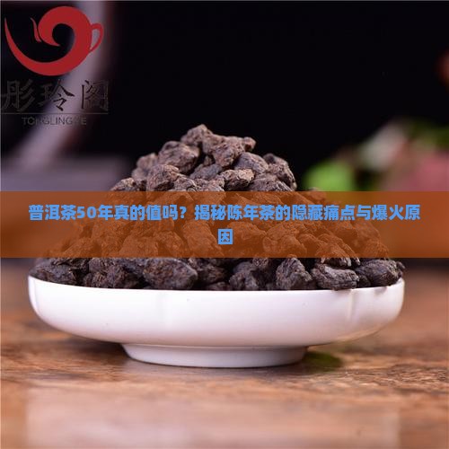 普洱茶50nian