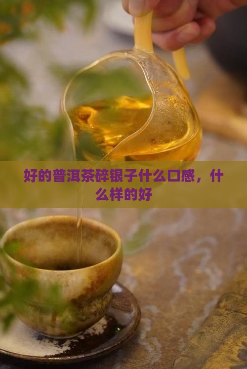 好的普洱茶碎银子什么口感
