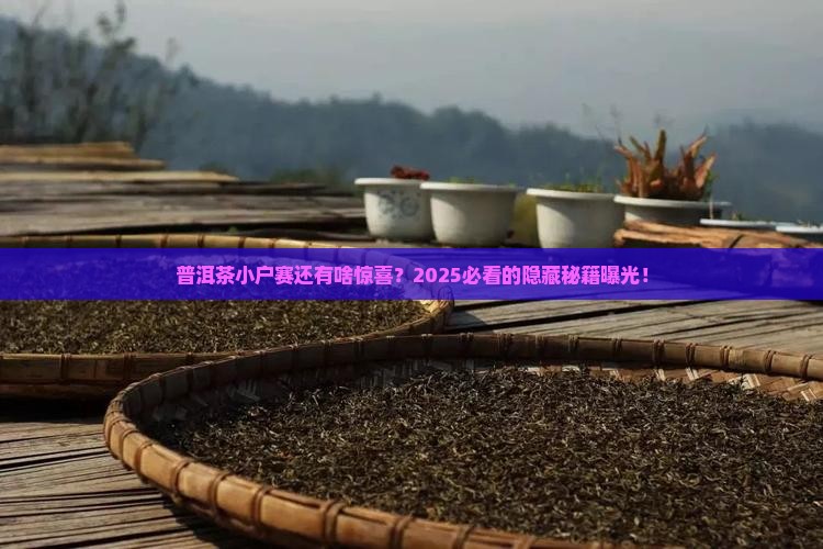 普洱茶小户赛还有什么