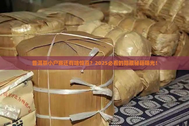 普洱茶小户赛还有什么