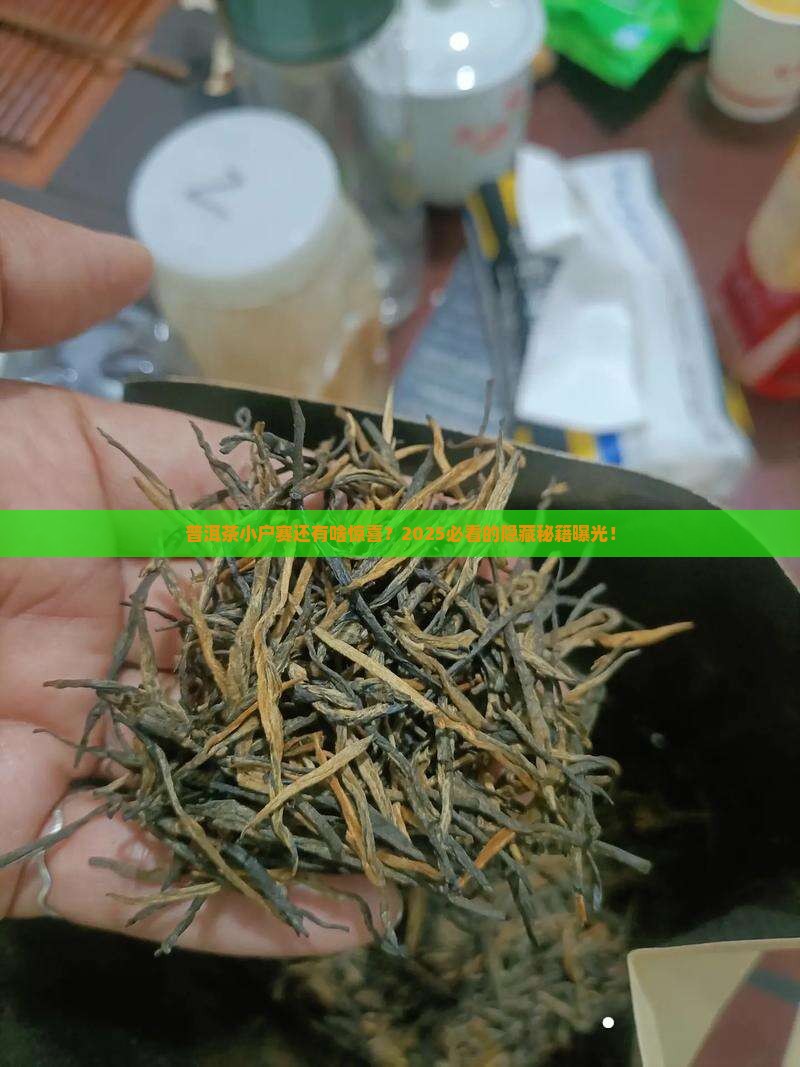 普洱茶小户赛还有什么