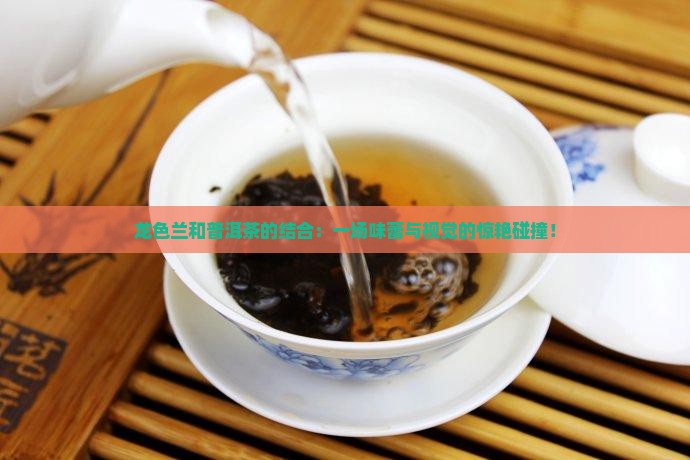 龙色兰和普洱茶的结合