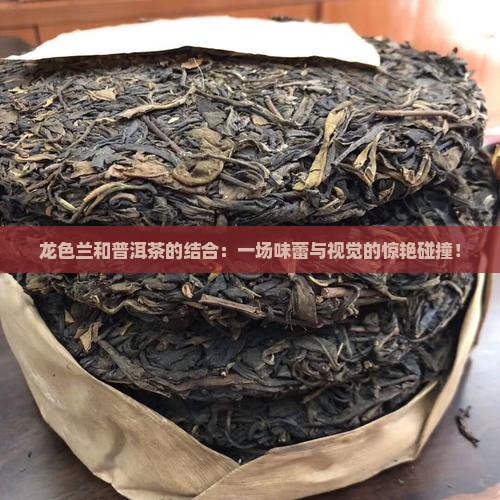 龙色兰和普洱茶的结合