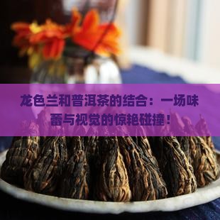 龙色兰和普洱茶的结合