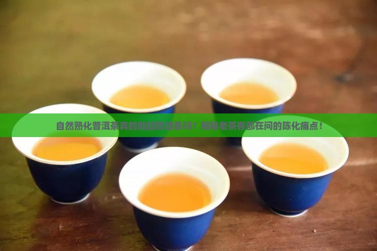 自然熟化普洱茶
