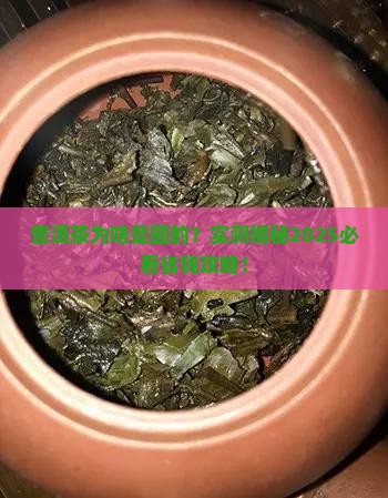 普洱茶是圆的还是方茶