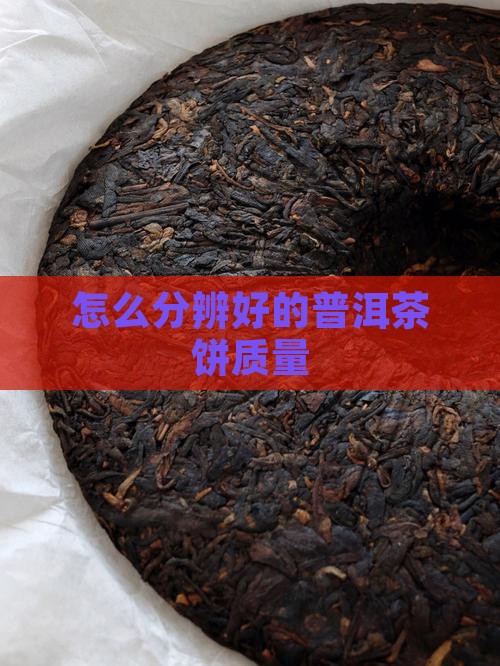 怎么分辨好的普洱茶饼质量