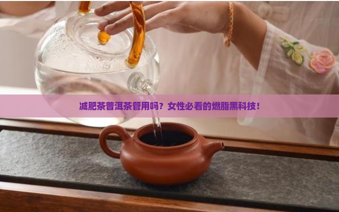 减肥茶普洱茶管用吗女性