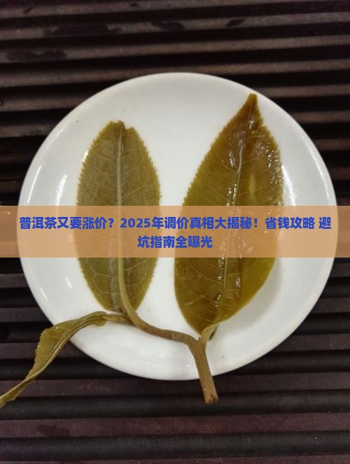 普洱茶调价通知函