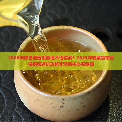 2008年陈昌浩普洱茶