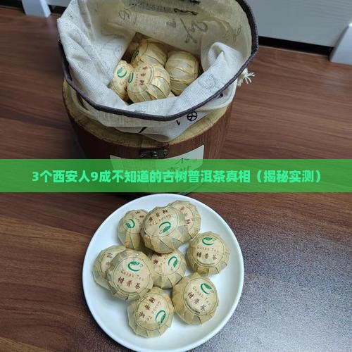 西安古树普洱茶