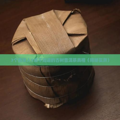 西安古树普洱茶