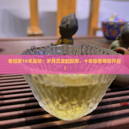 老班章10年品饮