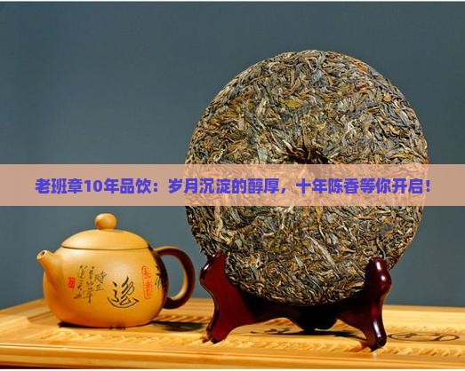 老班章10年品饮