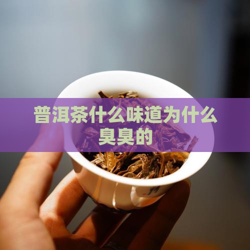 普洱茶怎么臭臭的 普洱茶怎么臭臭的