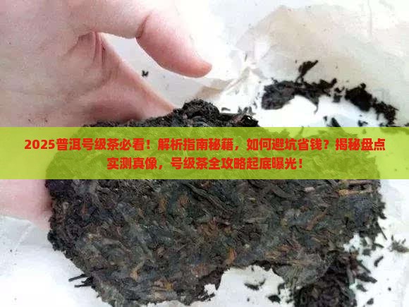 普洱号级茶都有哪些