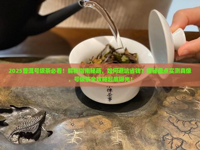 普洱号级茶都有哪些