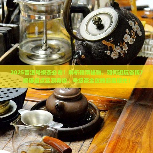 普洱号级茶都有哪些