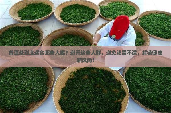 普洱茶不适合什么人群喝茶