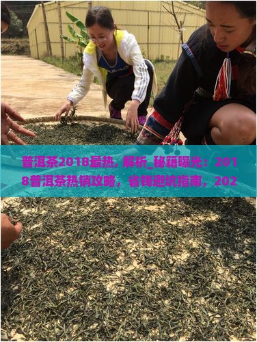 普洱茶2018最热