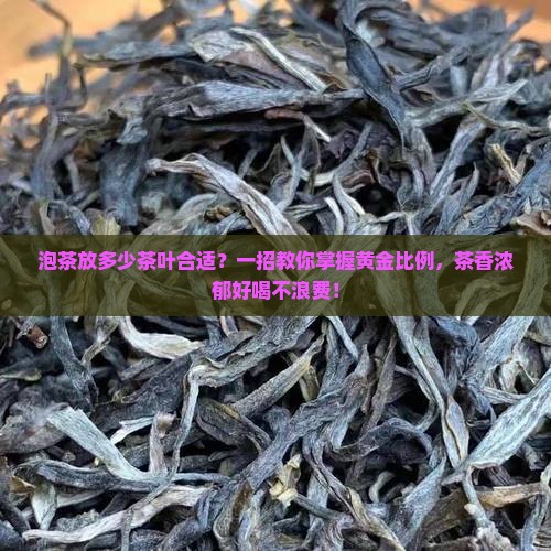 泡茶放多少茶叶合适