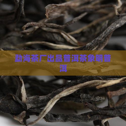 普洱茶象明茶厂出品
