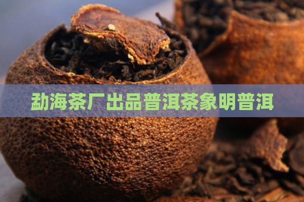 普洱茶象明茶厂出品